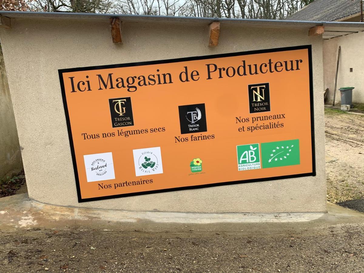 Gite De Beausoleil La Romieu 외부 사진