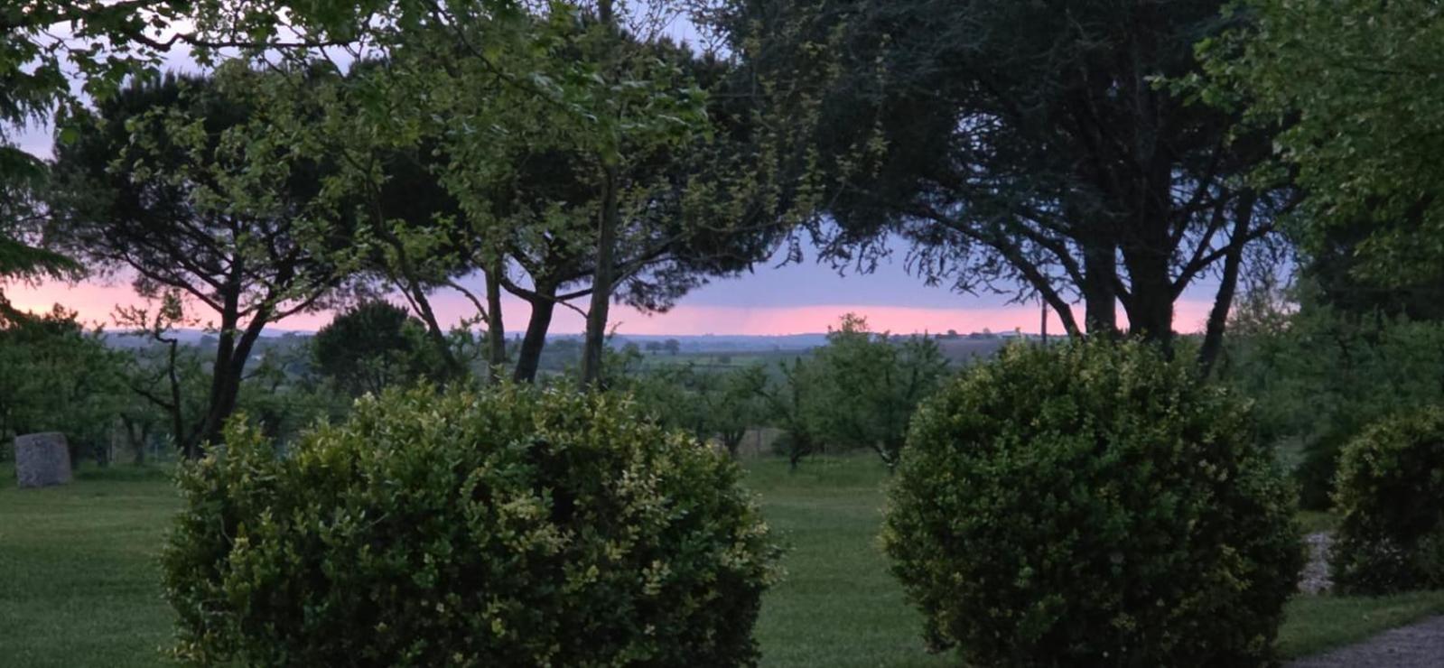 Gite De Beausoleil La Romieu 외부 사진